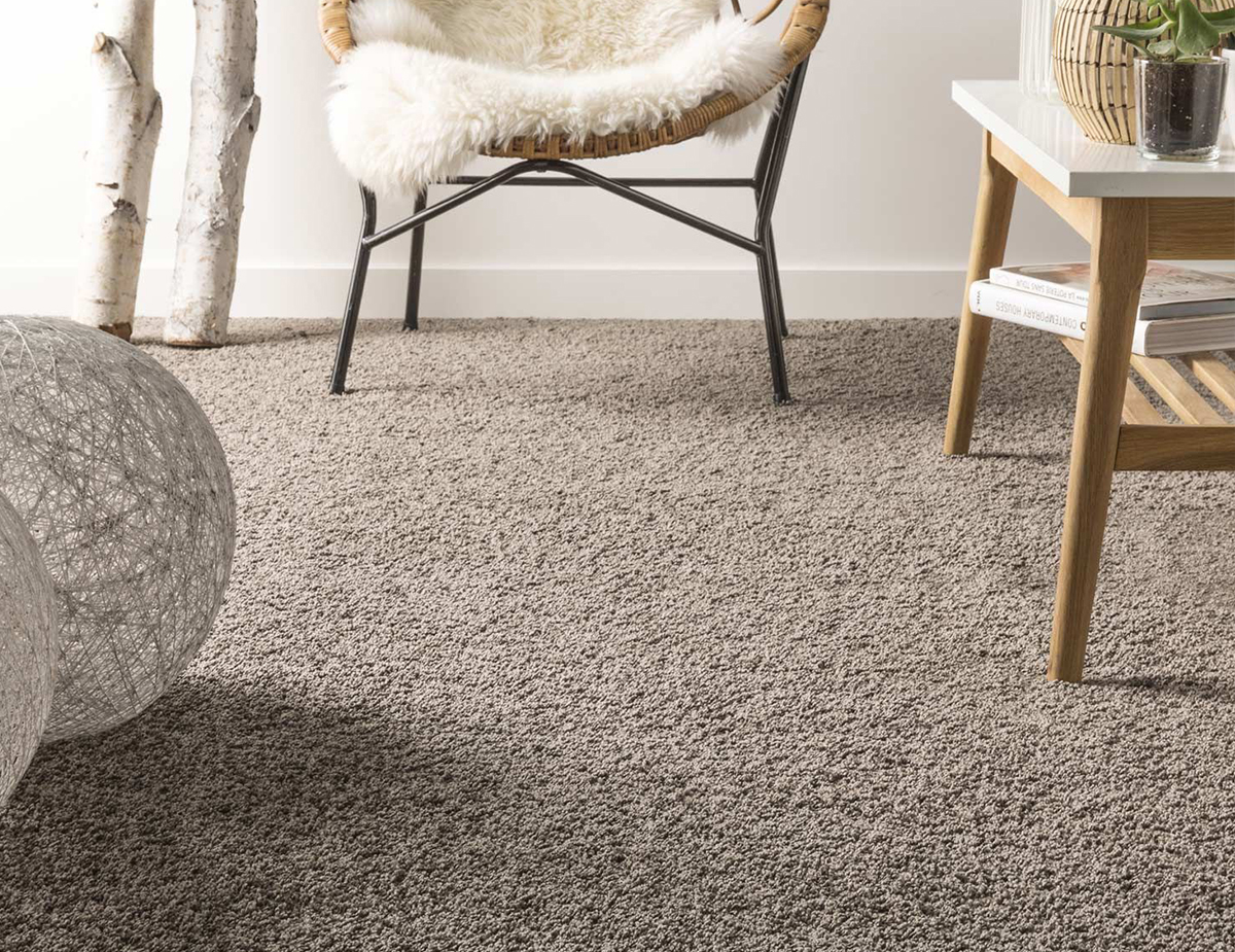 TAPIS